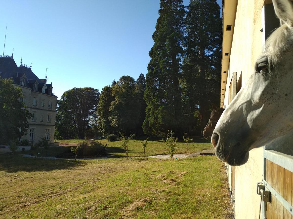 Chateau De St Alyre Hotell Sanssat Exteriör bild