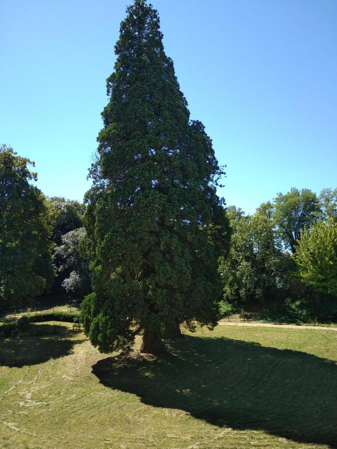 Chateau De St Alyre Hotell Sanssat Exteriör bild